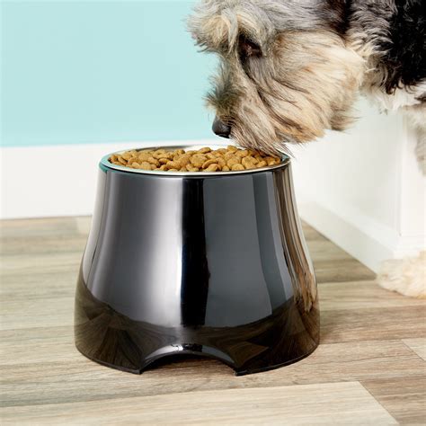 10 Elevated Dog Food Bowls Your Furry Friend Will Love And Why You Need