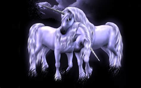 Unicorn in the forest, artistic. Unicorn Wallpapers, Pictures, Images
