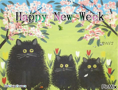 Black Cat Happy New Week Gif Pictures, Photos, and Images for Facebook