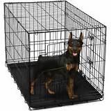 Pet Crate Dog Cage Photos