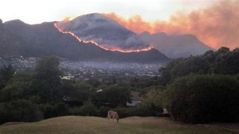 Two firefighters sustained burn wounds and were hospitalised for treatment, officials said, as a change in wind direction saw the fire spread rapidly towards the city bowl overnight. Table Mountain catches fire | South Africa News | Al Jazeera