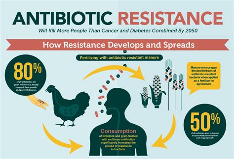 The Desperate Need To Prevent Antimicrobial Resistance