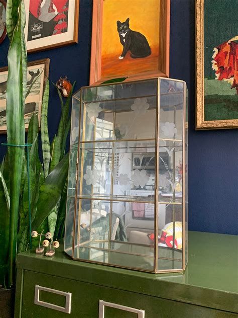 Large Mirrored Glass Curio Display Case With Flower Etchings