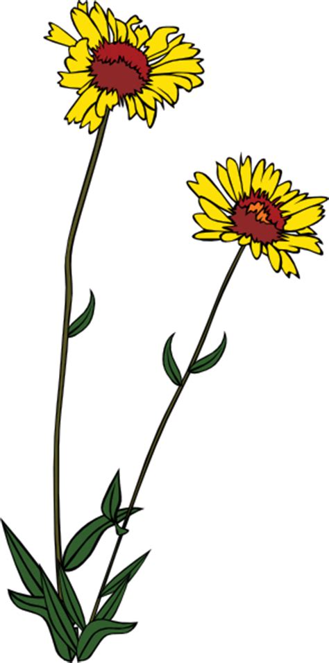 Yellow Wild Flower Clip Art At Vector Clip Art Online