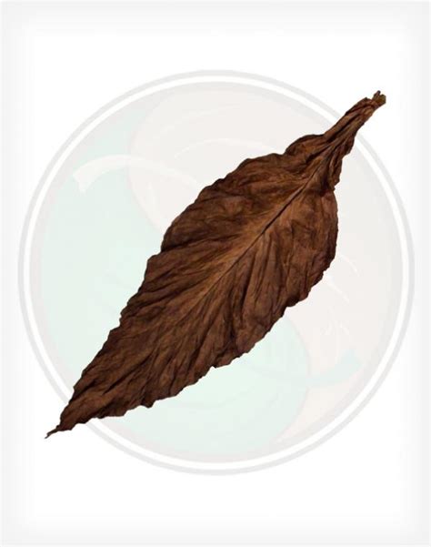 Fanta Leaves Qb 52 Fronto Wrapper Tobacco Leaves For Sale Online