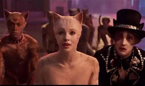 The movie will have a ridiculously stacked cast with various musical backgrounds. Cats movie release date, cast, plot: Everything we know ...