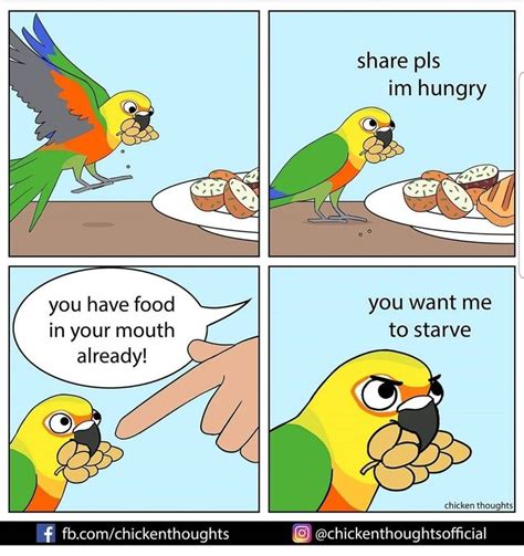 Pin By Sandy Ayres On Birds Funny Animal Comics Funny Parrots Funny