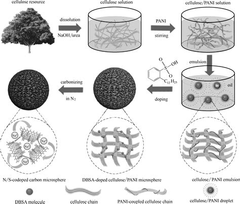 Hierarchical Porous Carbon Materials Structure Design Functional