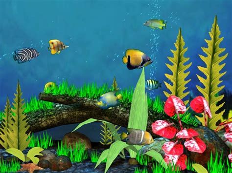 Download New 3d Aquarium Software Crawler 3d Marine Aquarium