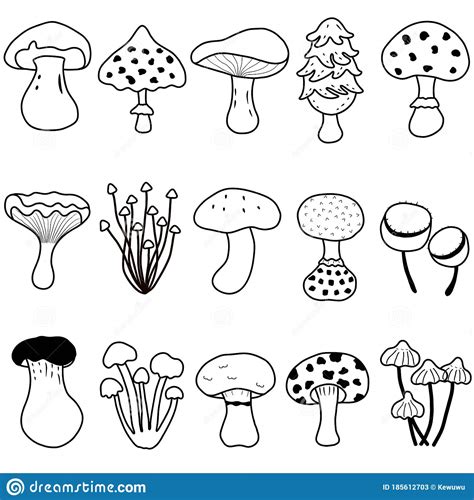 Cute Vector Of Fungi Mushroom For Coloring Set Of Doodle Illustration