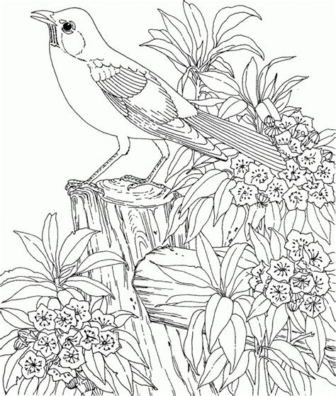 Coloriage Oiseau À Imprimer Coloriage Un Oiseau Sur Branche Dessin