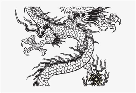 Drawn Chinese Dragon Japanese Dragon Chinese Dragon Vector Black