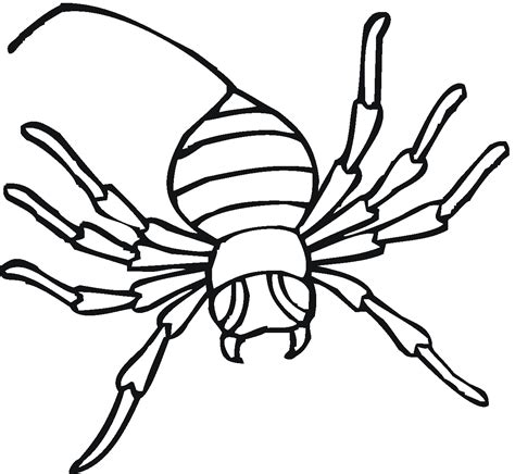 As well as being very interesting insects, spiders have long been depicted in popular culture, symbolism and mythology. Free Printable Spider Coloring Pages For Kids