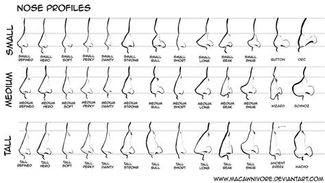 It's a sign you're a sentimental person. Nose Chart Reference by macawnivore on deviantART (With ...