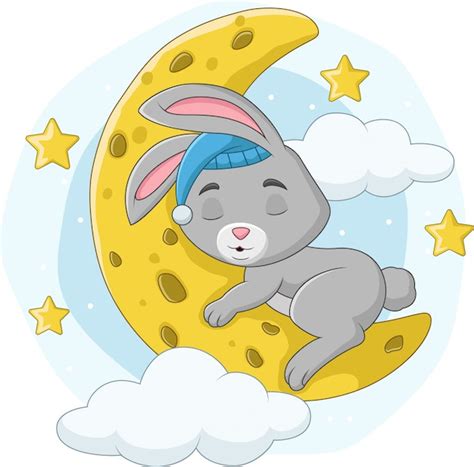 Sleeping Rabbit Cartoon