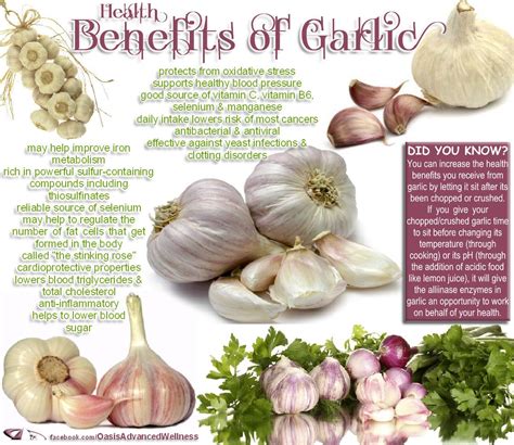 Benefits Of Garlic In The Skin Health Benefits