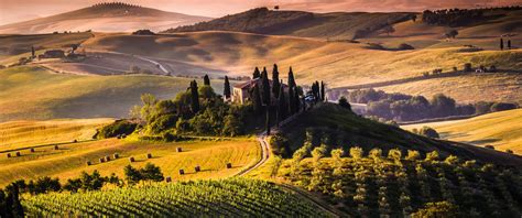 Wallpaper Landscape Tuscany Italy Vineyard Field 3440x1440 Sant