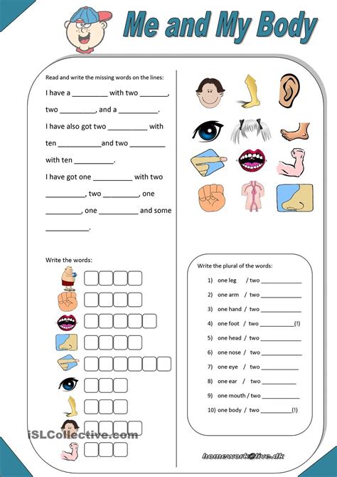 Part Of The Body Worksheets For Kindergarten