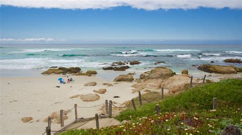 Asilomar State Beach Vacation Rentals Ca Usa House Rentals And More Vrbo