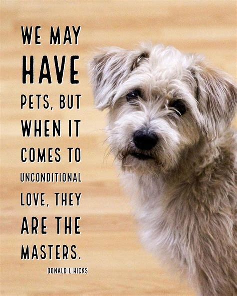 Pets Bring Unconditional Love Dog Quotes Cute Dog Quotes Dog