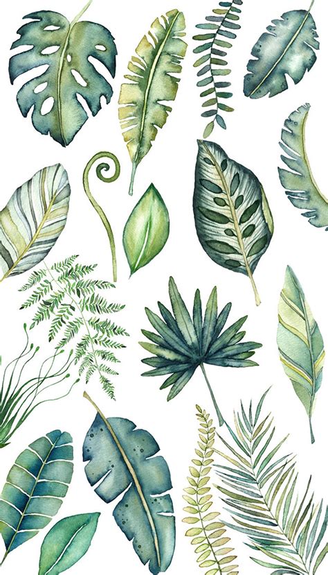 Watercolor Leaves Tropical Clipart Tropical Leaves Etsy Hojas De