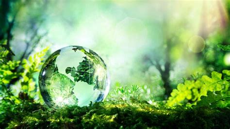 World Is Greener Thanks To China India Nasa Study Al Bawaba