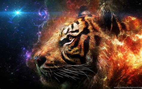Flame Tiger Wallpapers Top Free Flame Tiger Backgrounds Wallpaperaccess