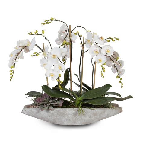 Real Touch White Phalaenopsis Orchids In Stone Bowl F 38 Jenny Silks