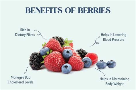 Berries Benefits Nutritional Value Facts And Side Effects