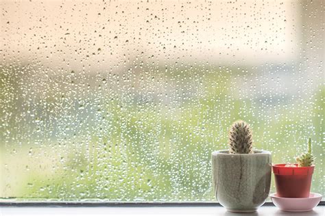 Moving In The Rain 10 Tips For Staying Dry And Protecting Your Stuff