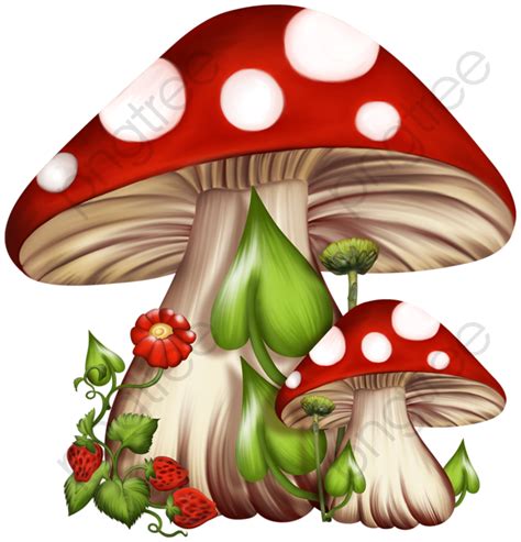 Mushroom, Mushroom Clipart, Cartoon PNG Transparent ...