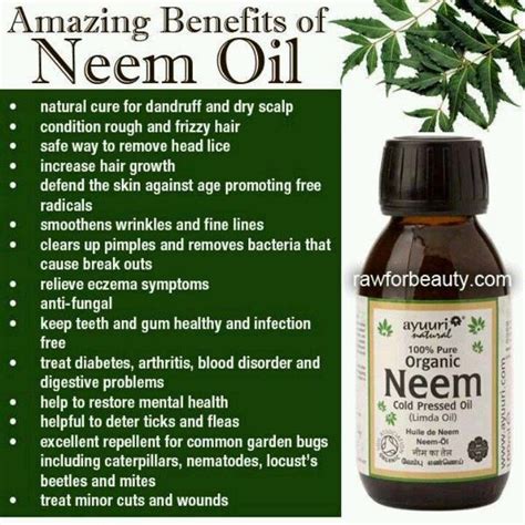 7 incredible benefits of neem oil for your skin and hair. Phenomenal Health and Beauty Benefits of Neem Oil; Great ...