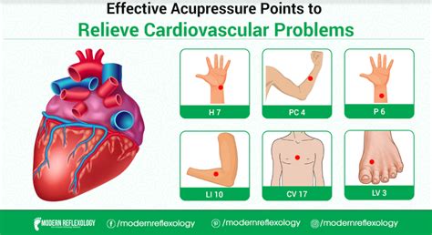 Best Acupressure Points To Relieve Cardiovascular Problems Modern