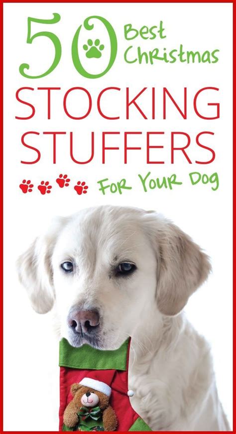 Once you look through these 23 gifts, you can be sure to choose a special something for your. 50 Best Christmas Stocking Stuffers for your Dog | Dog ...
