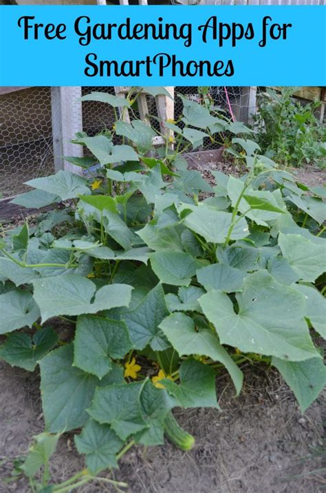 These gardening websites and apps have something in them for both beginners and experienced gardeners to reap what they sow. FREE Smartphone Mobile Apps to Help You Garden the Best