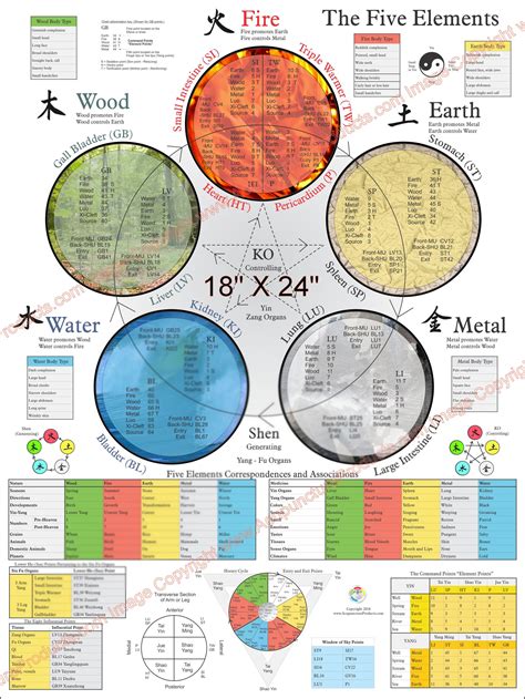 Five Elements Theory Acupuncture Poster 18 X 24 Etsy Canada