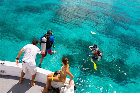 Key West Scuba Diving The 1 Padi Center In Key West Fl