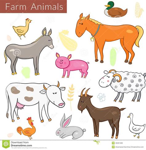 Vector Set Of Different Colorful Farm Animals Stock Vector