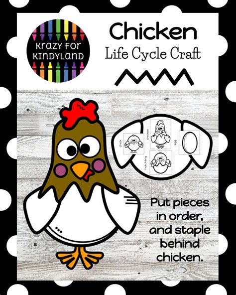 Chicken Life Cycle Activity With Craft For Science Lesson Center