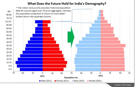 Evaluating Indias Evolving Demographics Ceic