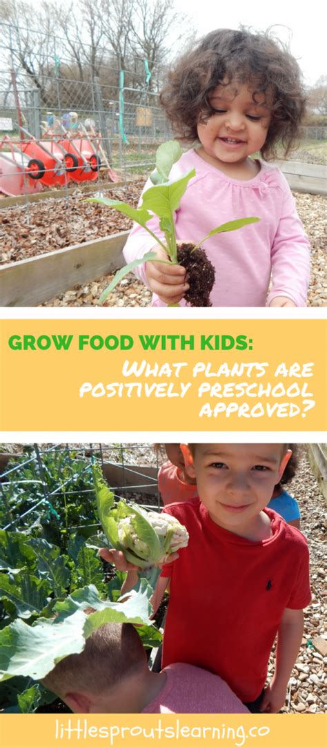 Fun flower science and sensory play activities for spring preschool activities. What Plants are Positively Preschool Approved in the ...