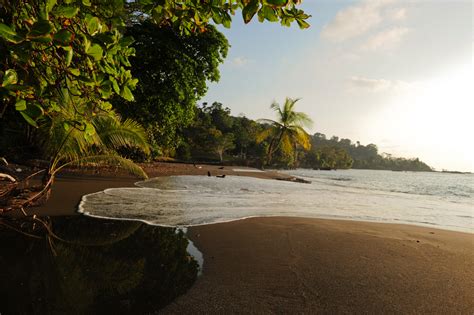 Corcovado National Park Costa Rica Infy World