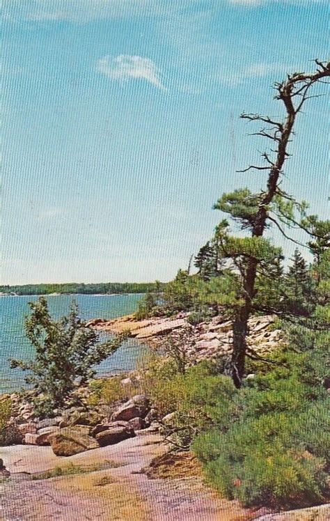Pickerel Bay Lodge White Lake Ontario 1974 Canada Vintage Postcard Ebay