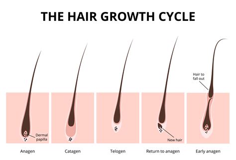 National Hair Growth Month Everything You Need To Know Irestore