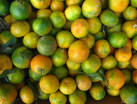 Citrus Greening The Fruitguys Oranges Green And Orange California