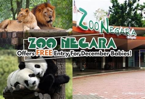 The national zoo of malaysia. This National Zoo in Malaysia Is Making Every December ...