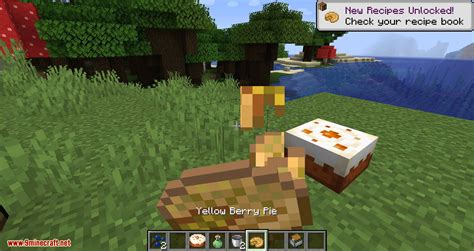 This pumpkin will also protect you from monsters like golems. More Berries Mod 1.16.5/1.15.2 (More Berrie-Foods ...