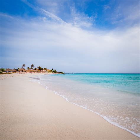 Arashi Beach Aruba Best Snorkeling Beach In The Caribbean