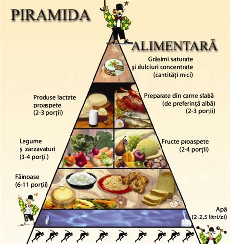 Piramida Alimentară Nutriscience