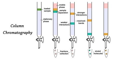 Column Chromatography Definition Principle Parts Steps Uses Types